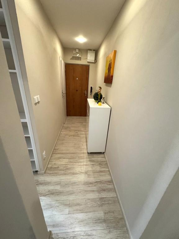 PRONÁJEM ZREKONSTRUOVANÉHO BYTU 2+1 V HRUŠOVANECH U BRNA - foto 18