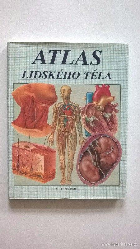 Atlas lidského těla - foto 1