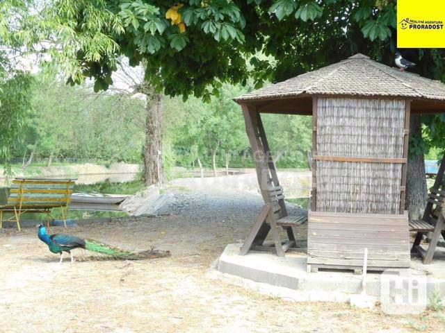 Prodej komplexu budov a pozemků farma Břest, zemědělský areál farma v Břestu - foto 8