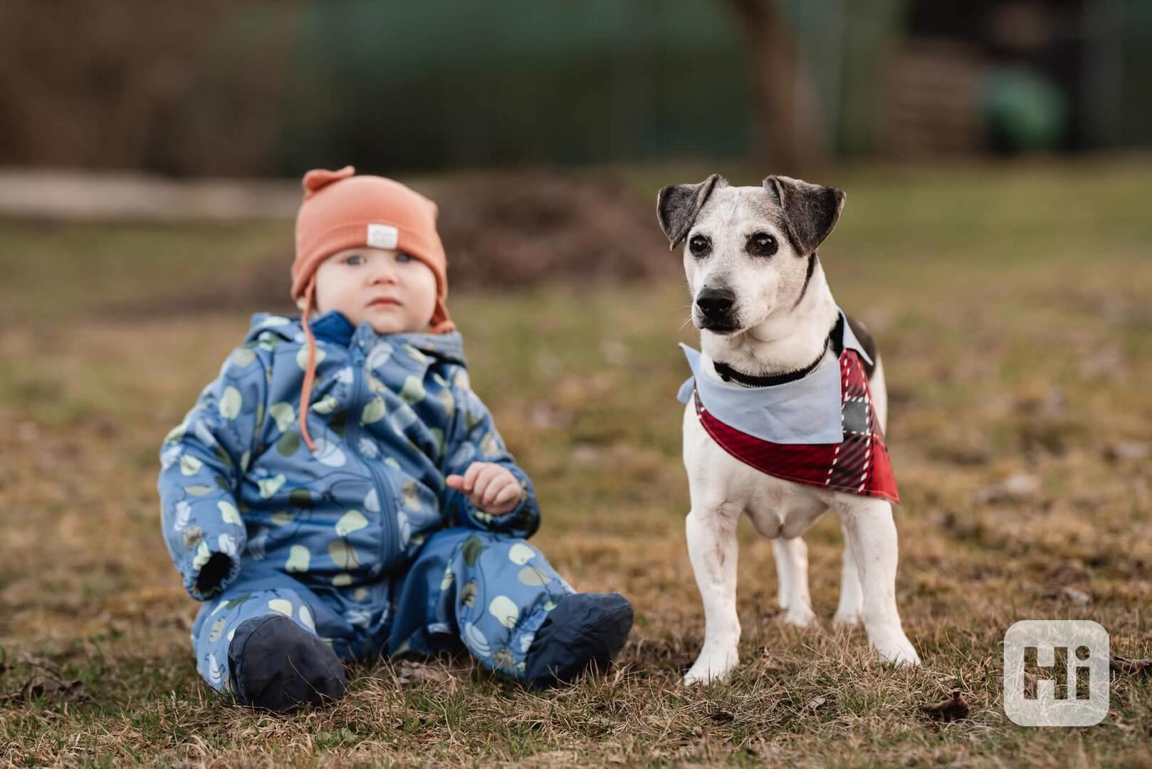 DIXÍK - 10 kg, kastrovaný psík 13 let - foto 1