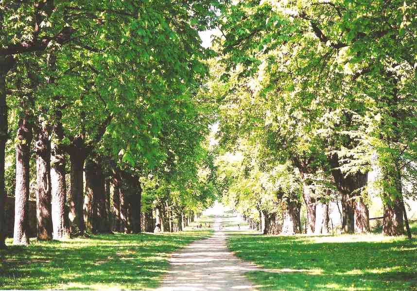 Pronajmu novostavbu 2+kk Slavkov u Brna. 58 m2 - foto 21