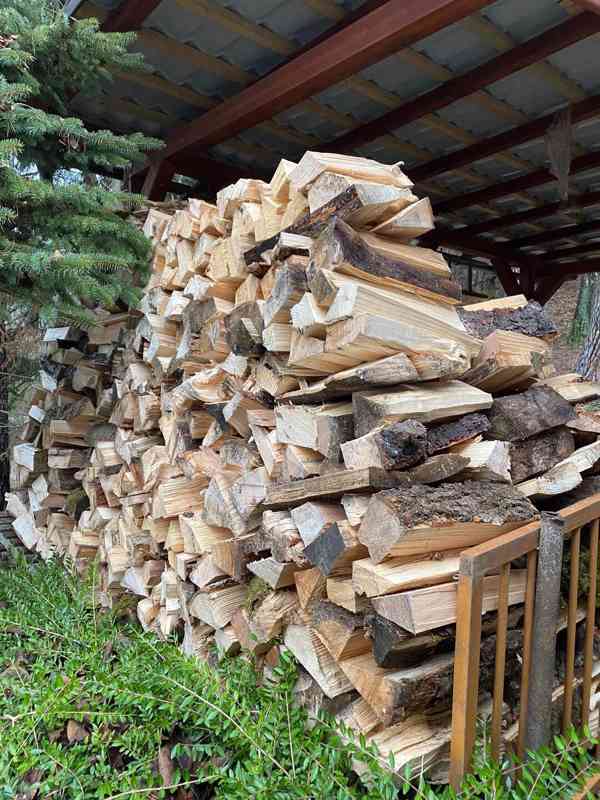 palivové dřevo TVRDÉ A MĚKKÉ - foto 1