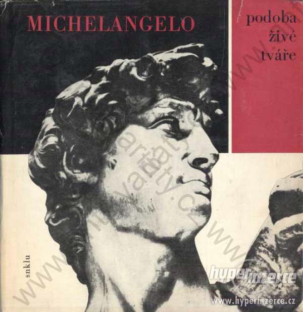 Michelangelo Buonarroti Podoba živé tváře 1964 - foto 1