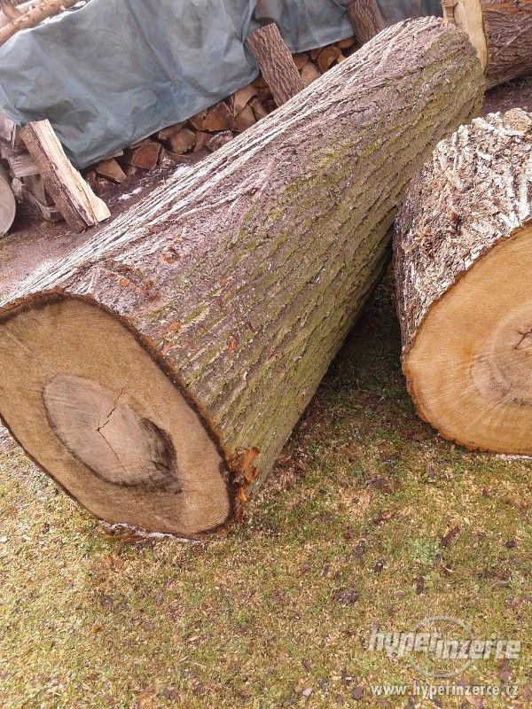 lipové dřevo - foto 1