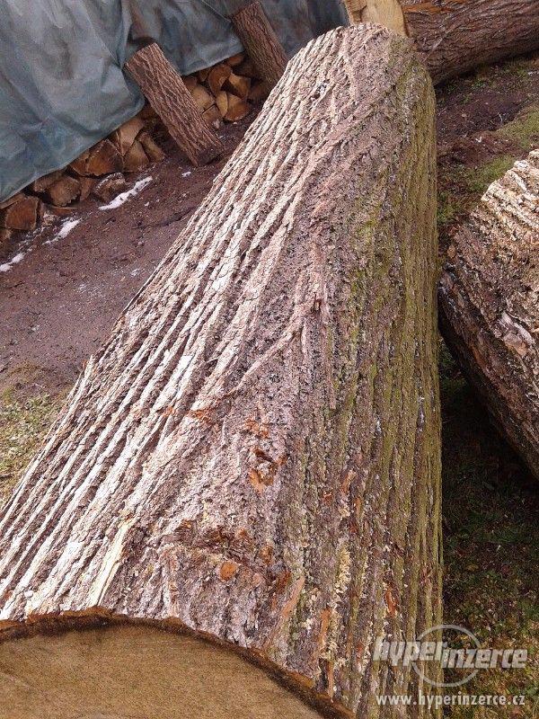 lipové dřevo - foto 3