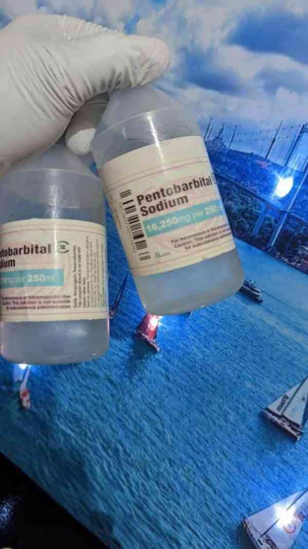 Nembutal,Zolpidem,Ritalin 10mg WHATSAPP>>+420 737 707 731 - foto 2