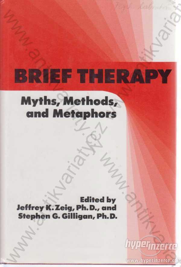 Brief Therapy Myths, Methods and Metaphors 1990 - foto 1
