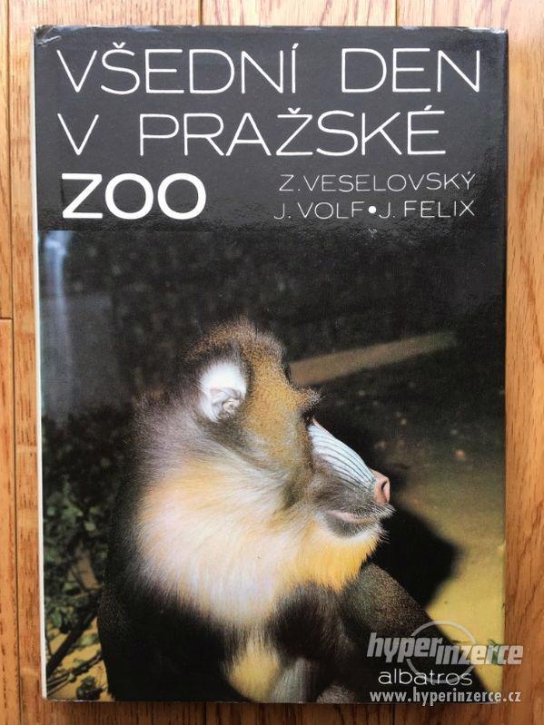 Všední den v pražské zoo, Z. Veselovský, 1990 - foto 2