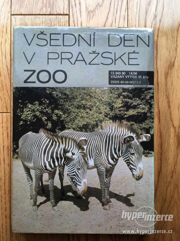 Všední den v pražské zoo, Z. Veselovský, 1990 - foto 3