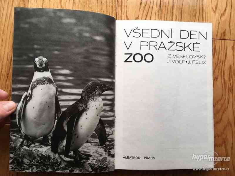 Všední den v pražské zoo, Z. Veselovský, 1990 - foto 4