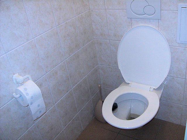 Pronájem obchodních prostor;Znojmo - foto 7