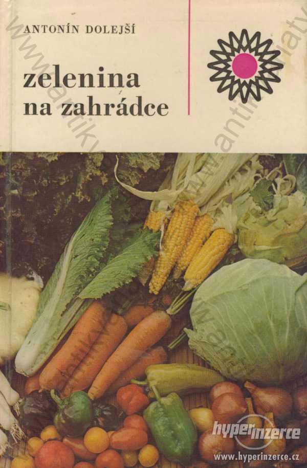 Zelenina na zahrádce Antonín Dolejší SZN 1984 - foto 1