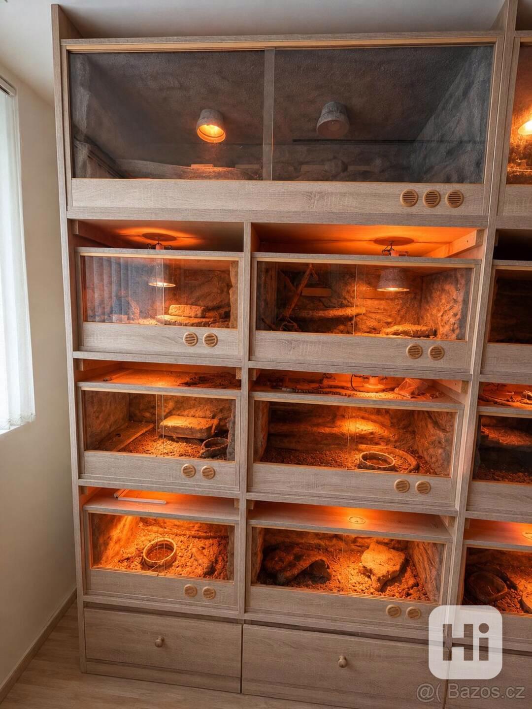 terarijní stěna - foto 1