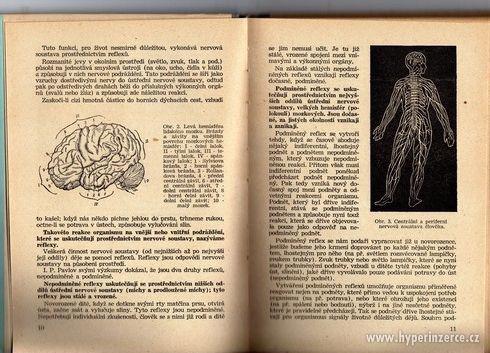 A. V. Zaporožec Psychologie 1954 a učebnice psychologie - foto 1
