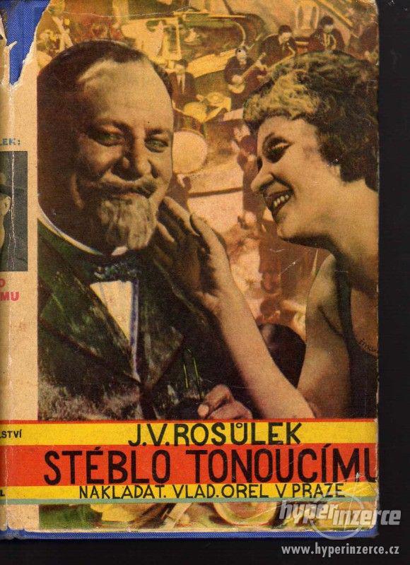 Stéblo tonoucímu  Jan Václav Rosůlek - 1930 - foto 1