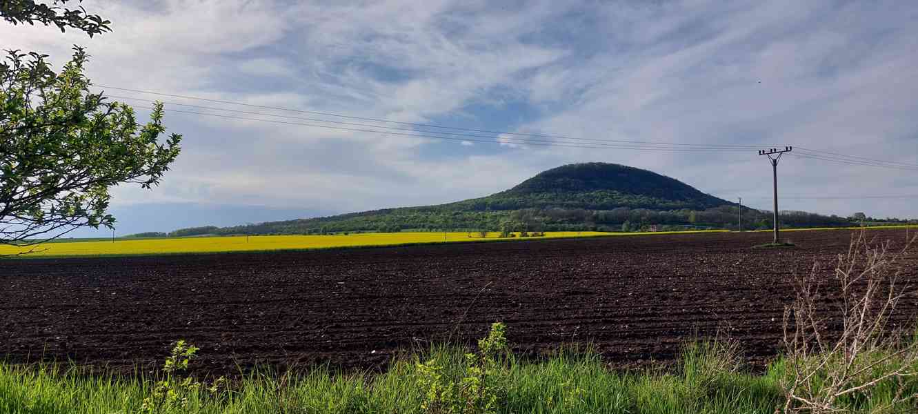 Prodej pole - orné půdy 7562 m², Ctiněves okr. Roudnice n. L - foto 5
