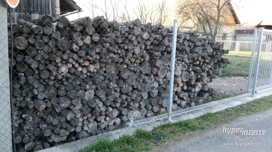 palivové dřevo - foto 2