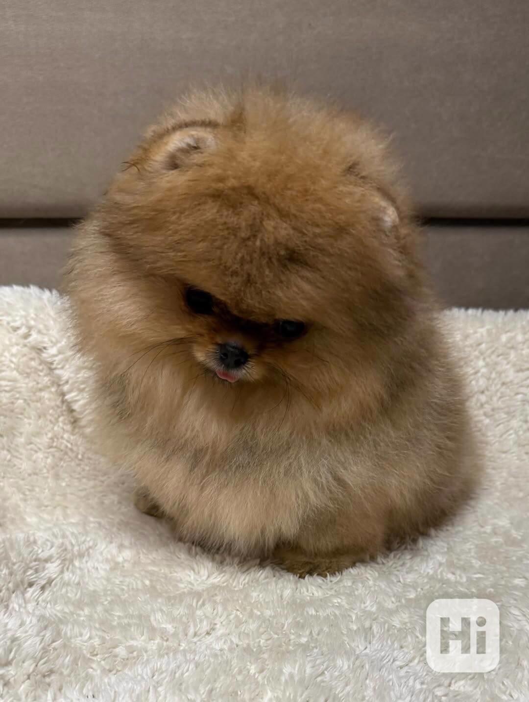 Ideální jako dárek pro milovanou osobu, nebo i jako terapeut - foto 1