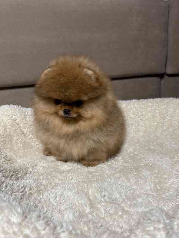 Ideální jako dárek pro milovanou osobu, nebo i jako terapeut - foto 3