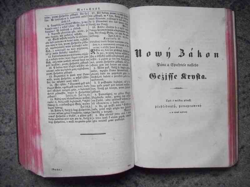 BIBLE 1845 - foto 6