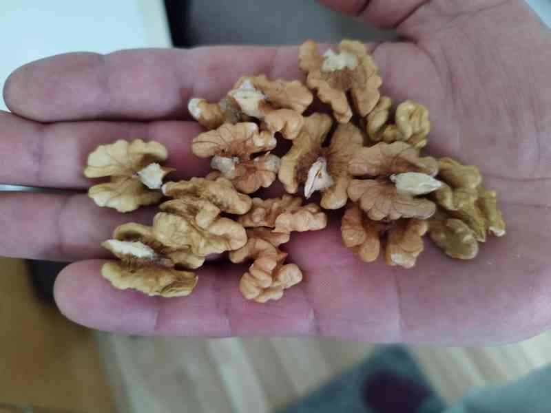 Vlašské ořechy 