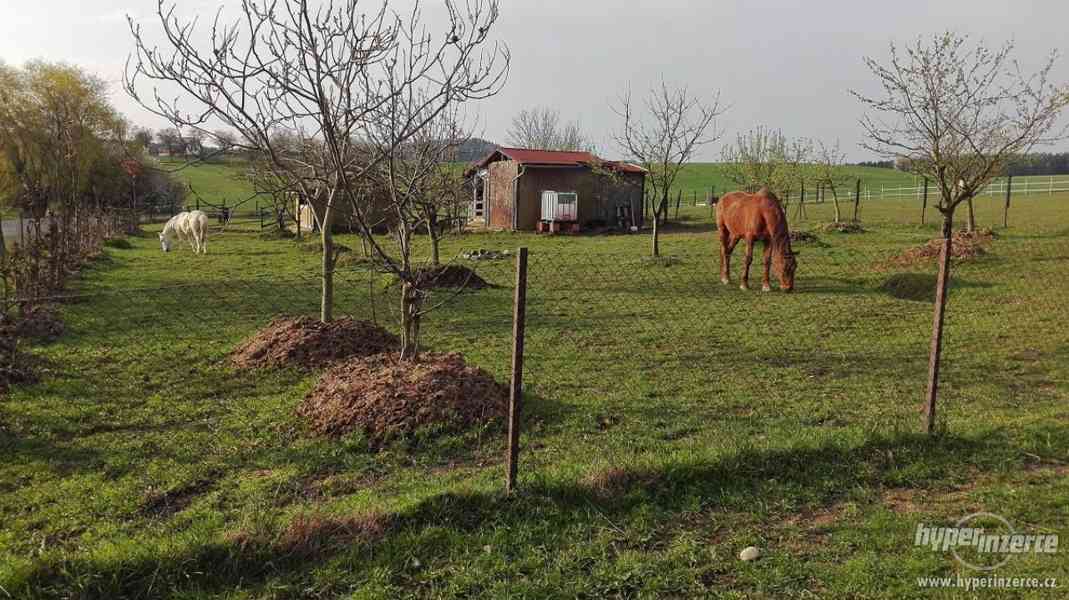 Pozemky na chov koní a rodinný dům - foto 4