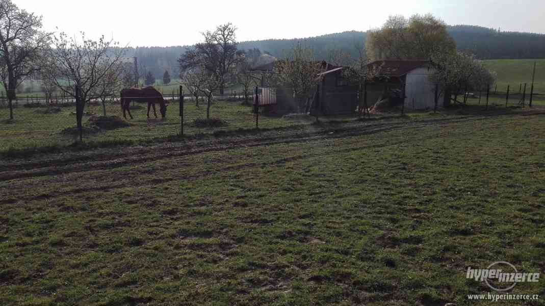 Pozemky na chov koní a rodinný dům - foto 5