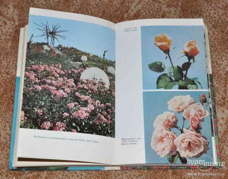 kniha Růže - královna květin - foto 5