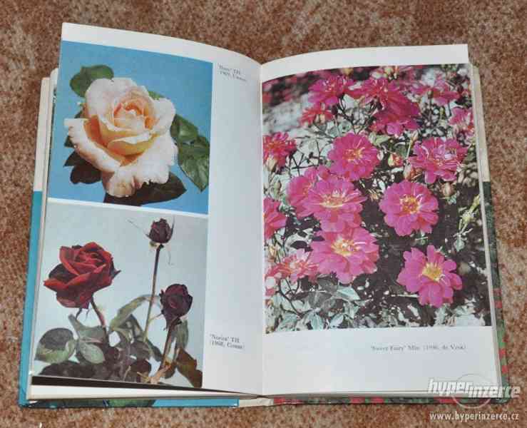 kniha Růže - královna květin - foto 6