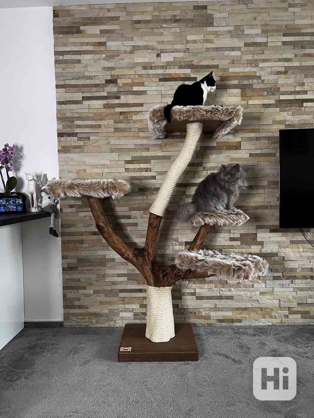 Škrabadla pro kočky  - foto 1