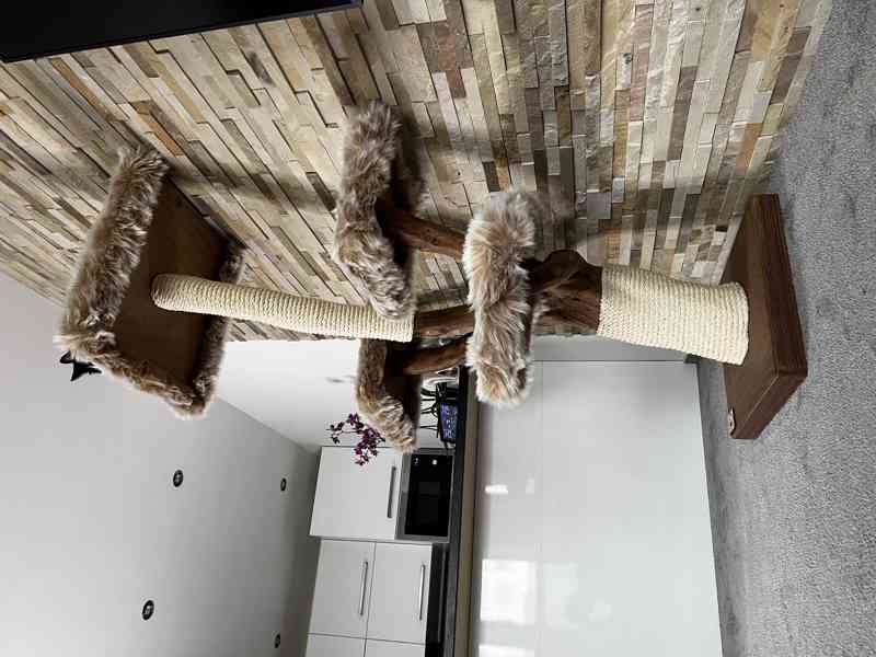 Škrabadla pro kočky  - foto 3