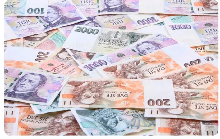 Trendaro placené dotazníky 