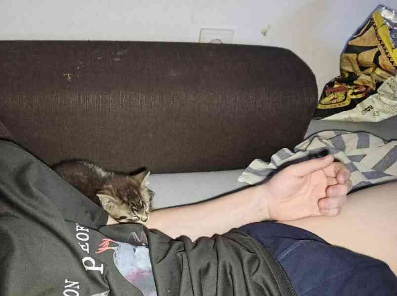 Drobeček hledá náhradní maminku - foto 4