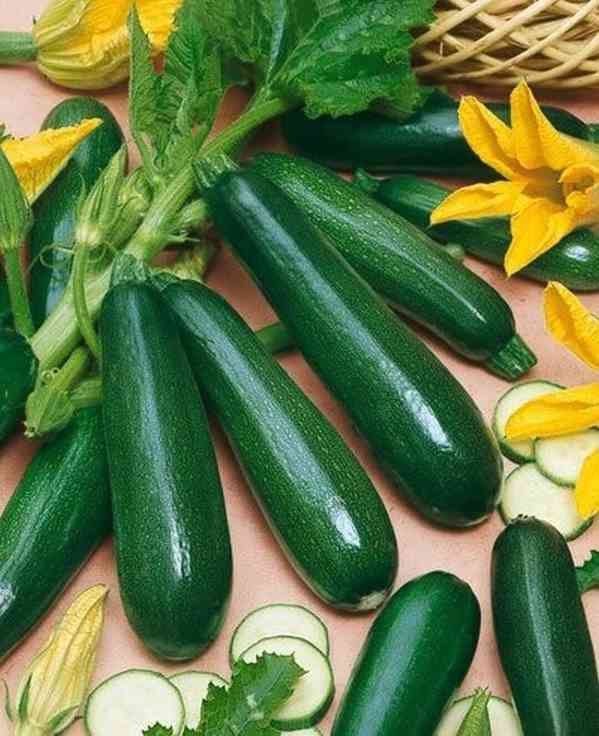 Cuketa Black Beauty - semena - foto 1