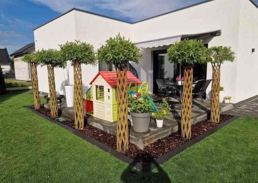 𝗧𝗢𝗣❗Pletená vrba SALIX, americká vrba ❗DOPRAVA ČESKO❗ - foto 15