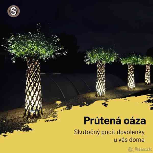 𝗧𝗢𝗣❗Pletená vrba SALIX, americká vrba ❗DOPRAVA ČESKO❗ - foto 2