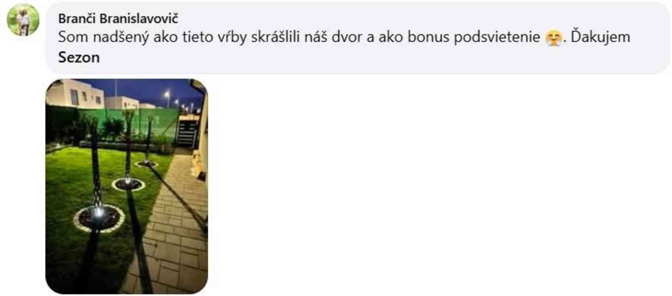 𝗧𝗢𝗣❗Pletená vrba SALIX, americká vrba ❗DOPRAVA ČESKO❗ - foto 9