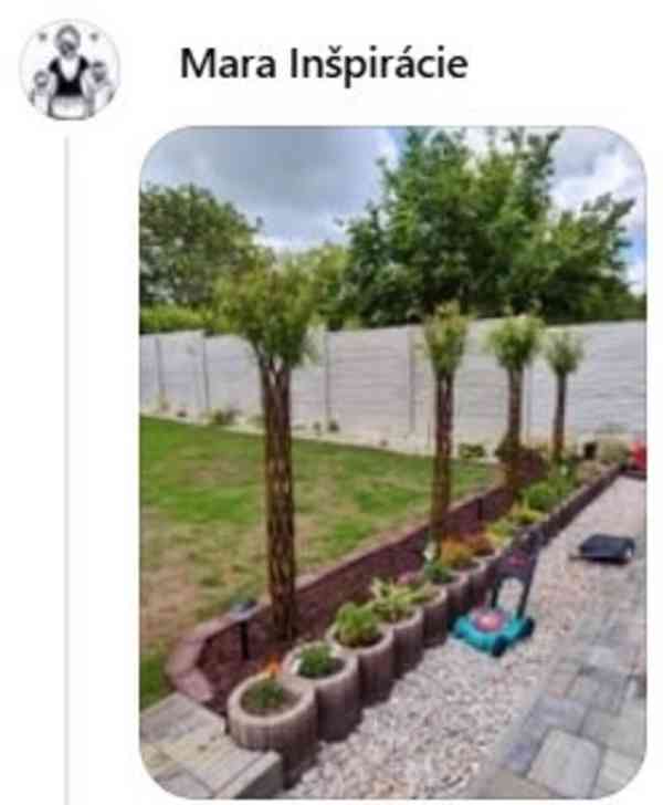 𝗧𝗢𝗣❗Pletená vrba SALIX, americká vrba ❗DOPRAVA ČESKO❗ - foto 7