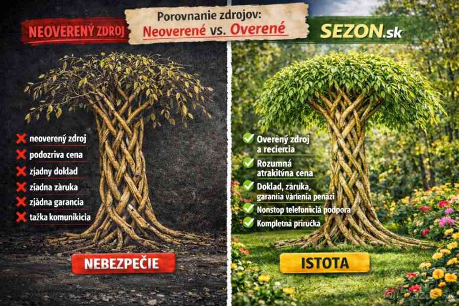 𝗧𝗢𝗣❗Pletená vrba SALIX, americká vrba ❗DOPRAVA ČESKO❗ - foto 11