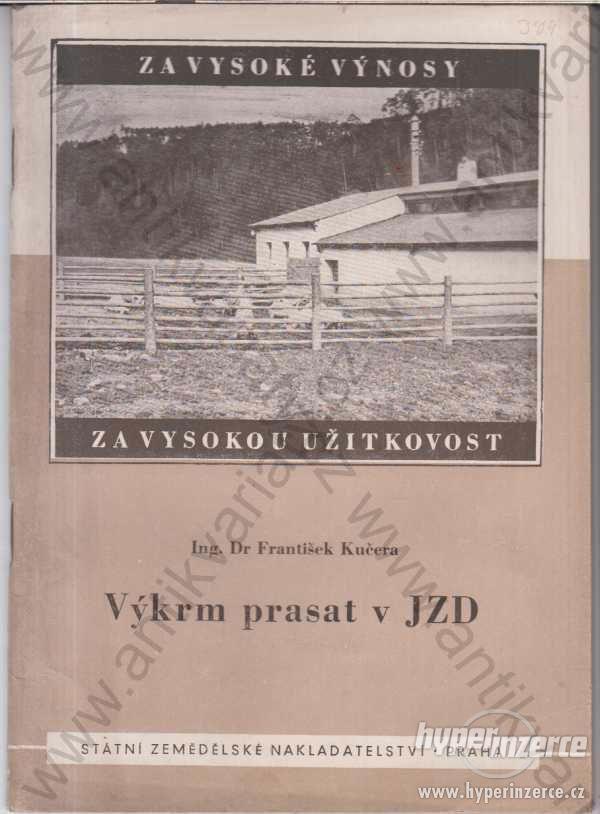 Výkrm prasat v JZD Ing. Dr.F. Kučera SZN,  1953 - foto 1