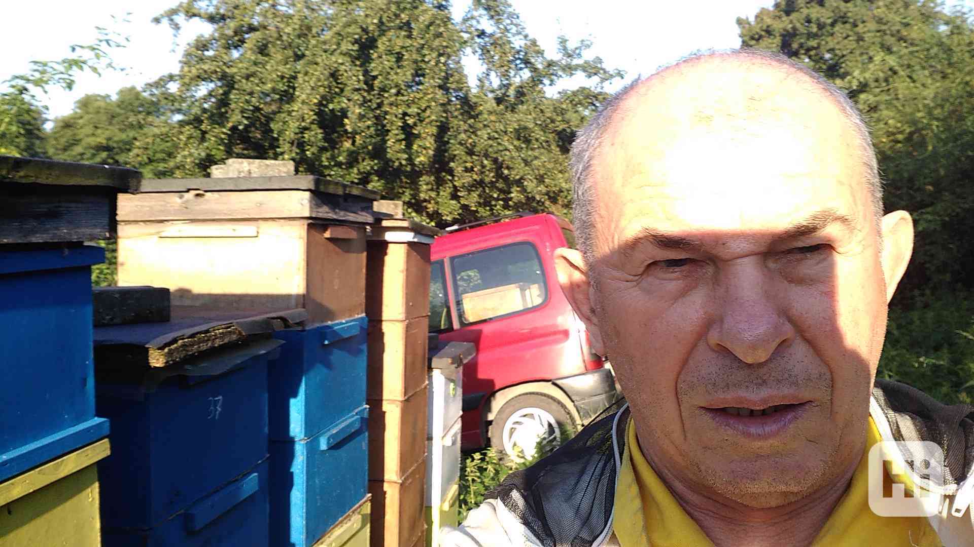 Včelí oddělky - foto 1