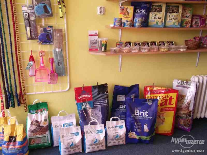 PŘENECHÁM ZAVEDENÝ KAMENNÝ OBCHOD ZVERIMEX+ESHOP - foto 3