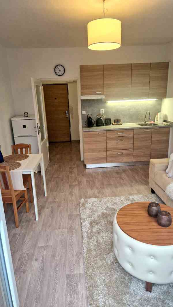 Nabízím pronájem bytu 1+kk v Luhačovicích - foto 6