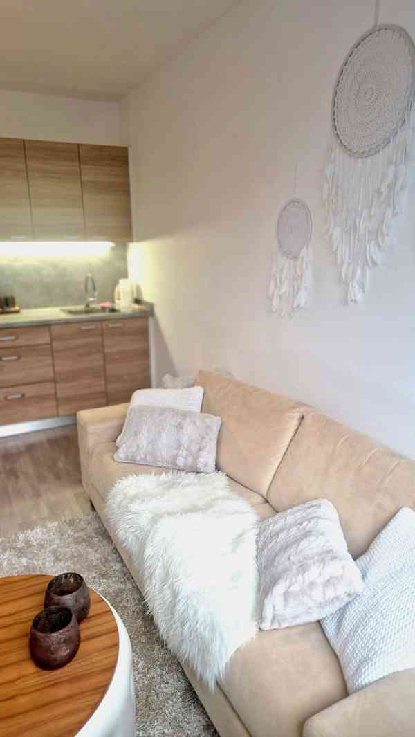 Nabízím pronájem bytu 1+kk v Luhačovicích - foto 12