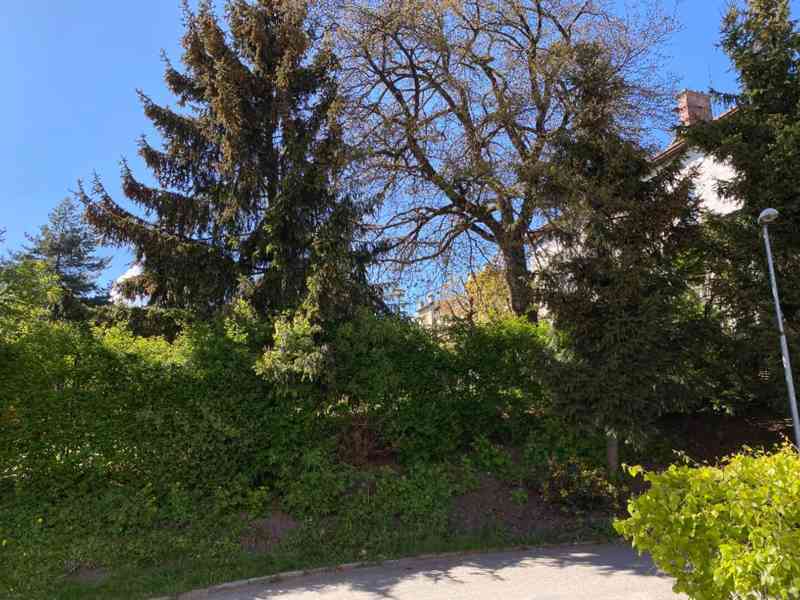 Pronájem světlého prostorného bytu 2+1 (60m2)