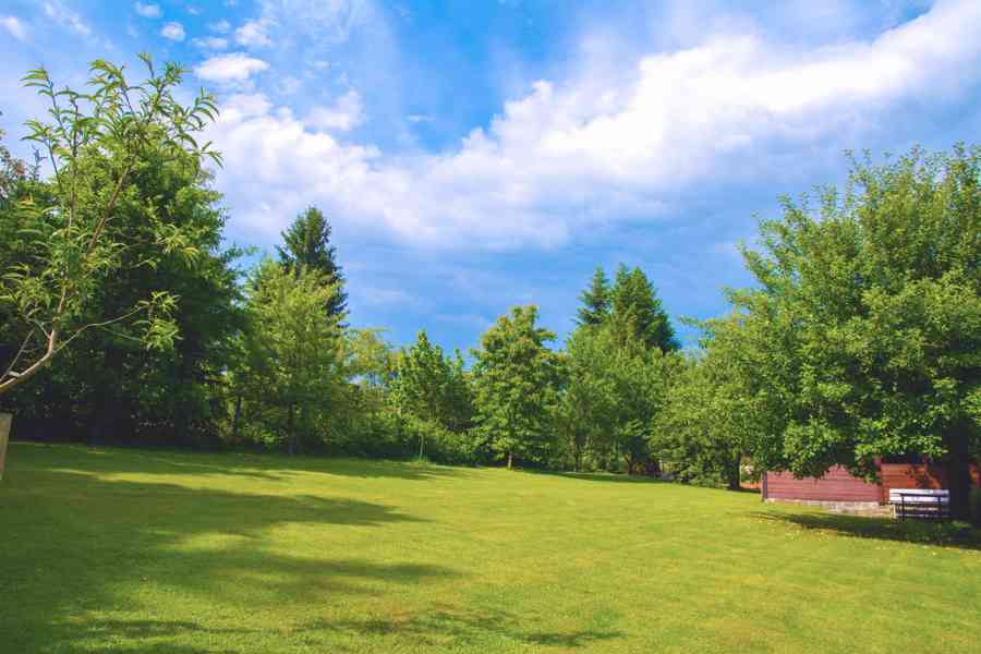 Chata k pronájmu u řeky Sázavy 30 minut z Prahy - foto 8