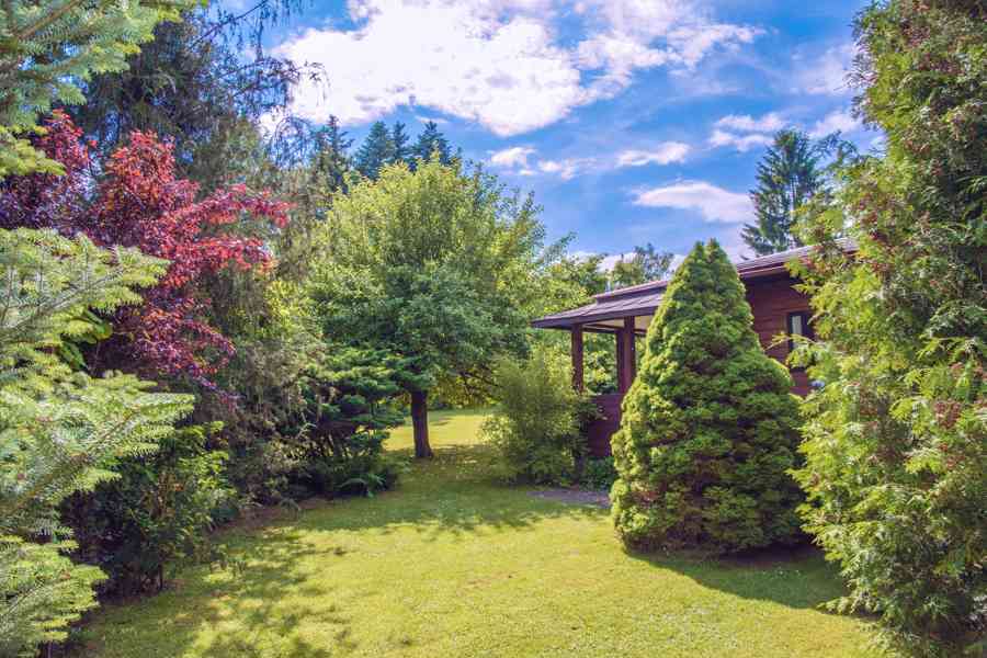 Chata k pronájmu u řeky Sázavy 30 minut z Prahy - foto 4