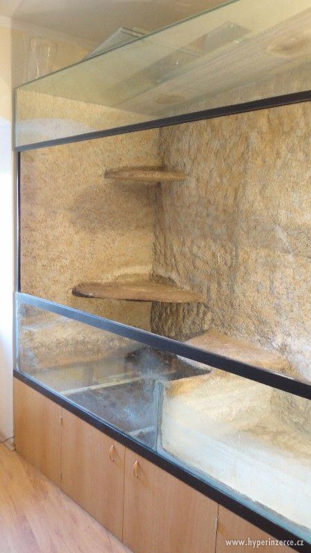 Velké prostorné rohové terárium - foto 1