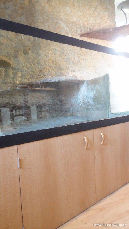 Velké prostorné rohové terárium - foto 5