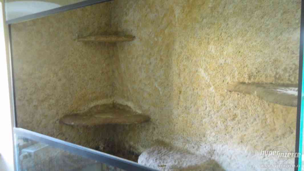 Velké prostorné rohové terárium - foto 6